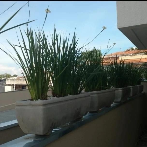 Apartamento, 2 quartos, 56 m² - Foto 3