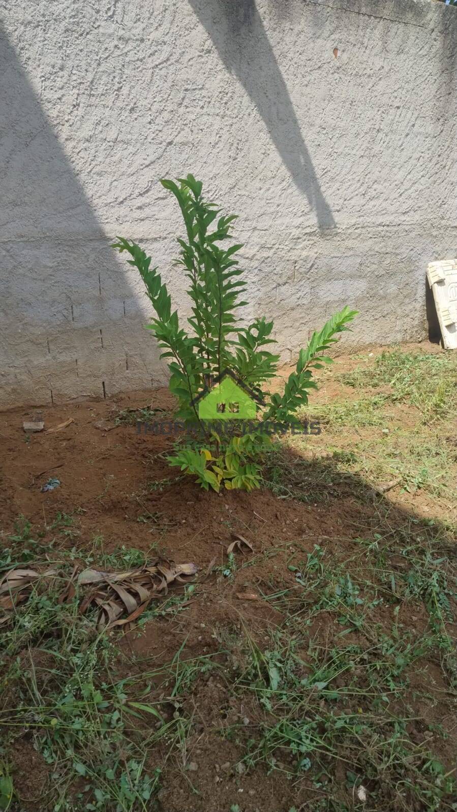 Terreno, 238 m² - Foto 6