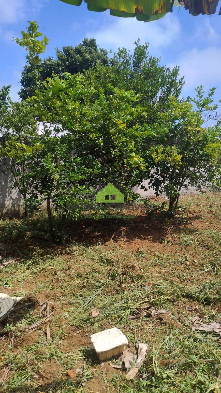 Terreno, 238 m² - Foto 11