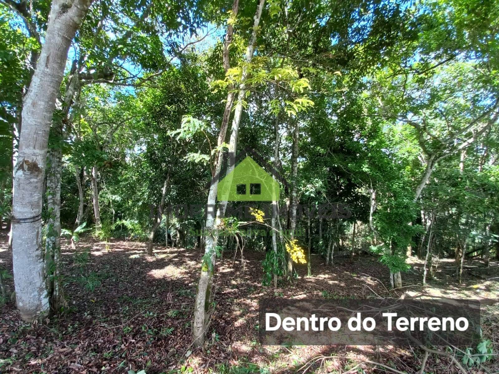 Terreno, 1361 m² - Foto 4