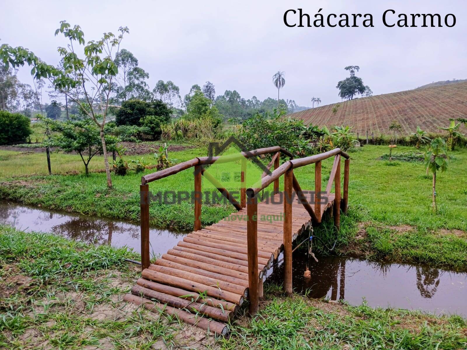 Depósito-Galpão - Foto 30